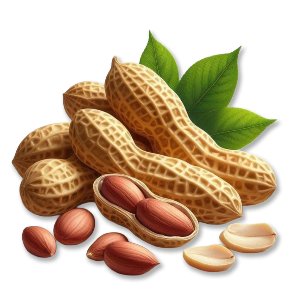 WhatsApp Image 2025-09-28 at 22.38.11